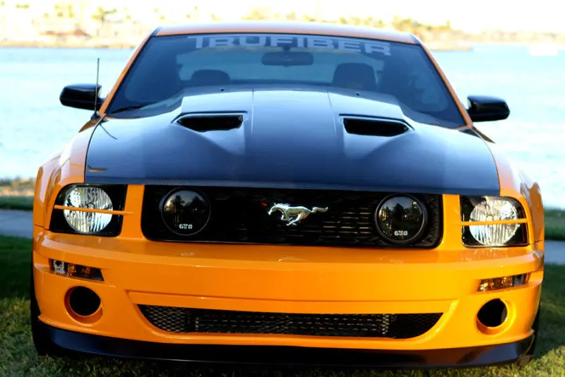2005-2009 Mustang A29 Heat Extractor Hood (V6/Gt) 1