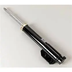 Adjustable Strut (Front) 1
