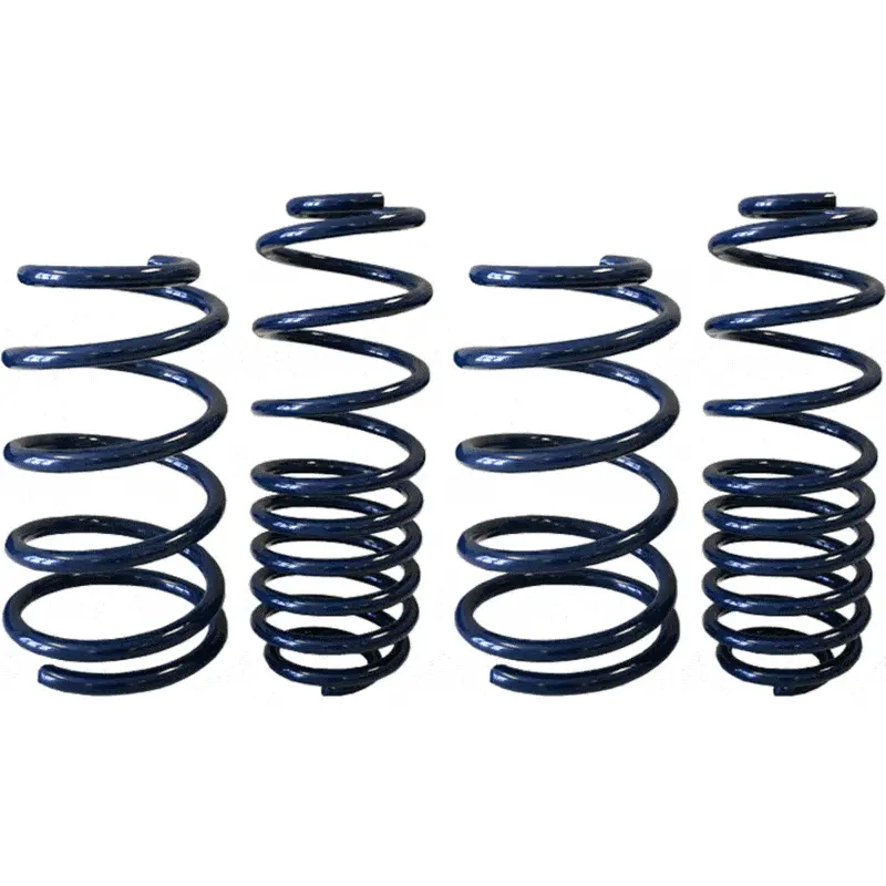 Boss 302 Lowering Springs 1