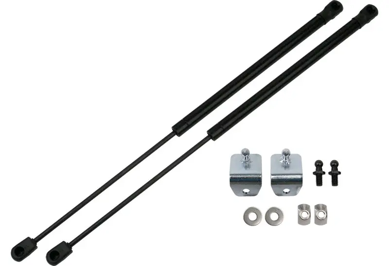 Hood Strut Kit (2005-2014) 1