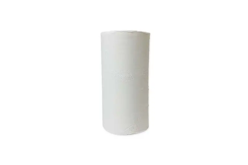 Instaprivy Coreless Toilet Tissue 2