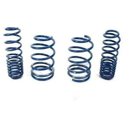 Lower Spring Kit 1