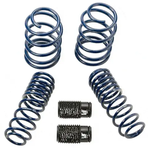Lowering Spring Kit 1