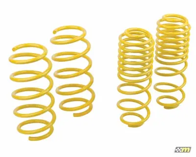 Mountune Sport Spring Set Ford Fiesta St 2014-2017 1