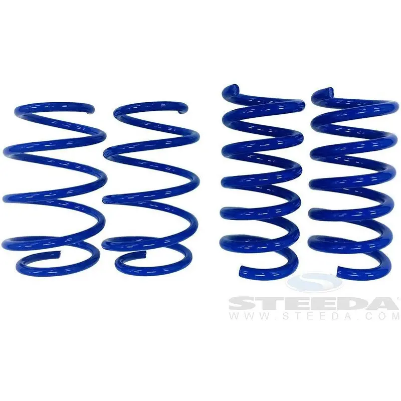 Mustang Sport Springs - Linear 1