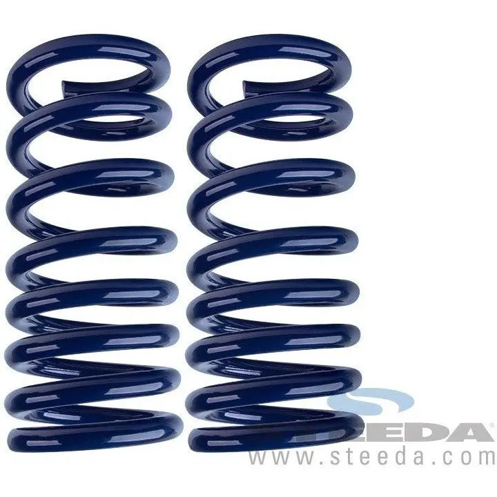 Mustang Sport Springs - Progressive 1