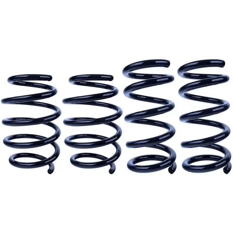 Mustang Ultralite Springs - Linear 1