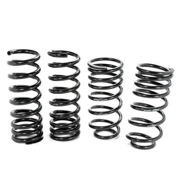 Mustang V8 Lowering Coil Springs (79-04) 1