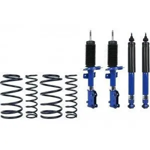 Pro-Action & Sport Springs Mustang Suspension Package 1