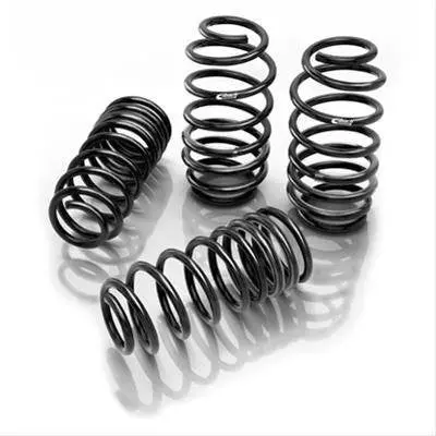 Pro-Kit Lowering Springs 1