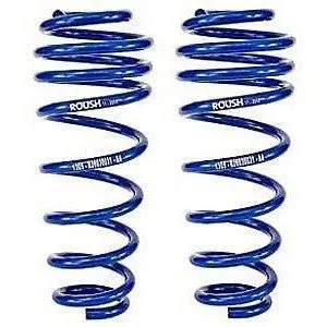 Rear Coil Springs 1