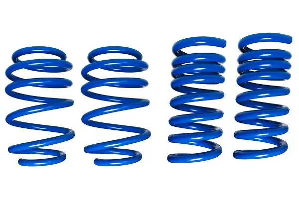 Steeda S550/S650 Mustang Dual Rate Ultimate Handling Lowering Springs (2015-2024) 1