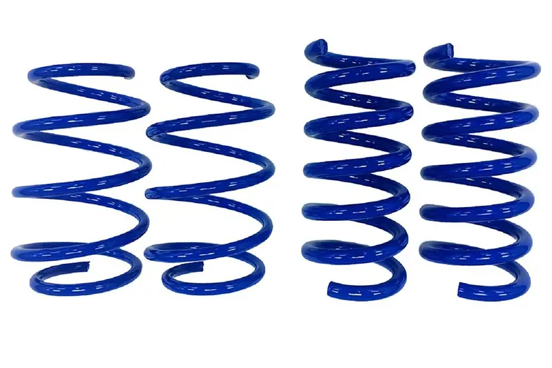 Steeda S550/S650 Mustang Gt Drag Springs - Linear (2015-2024) 1