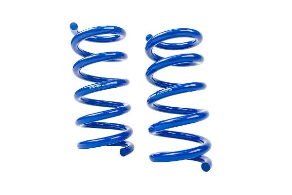 Steeda S550/S650 Mustang Rear Drag Spring Kit (2015-2024) 1