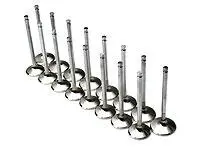 Brian Crower 34.6Mm Intake Valves For Toyota 2Jz-Gte And Lexus 2Jz-Ge Engines 1