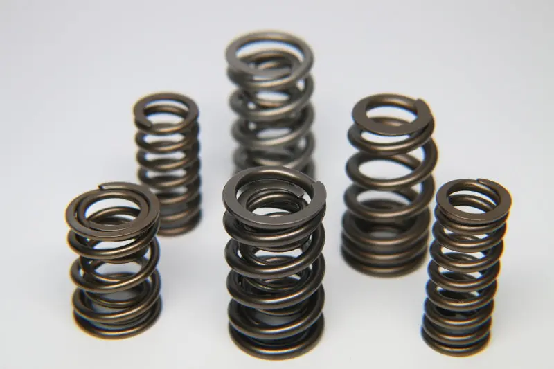 Ferrea Dual Chrome Silicon Valve Spring For Nissan Tb45E Engine – Single Unit 1